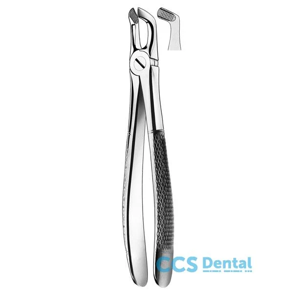 E79A Forceps Cordal Inferior