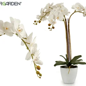 Orquidea Blanca Maceta Cónica Blanca Jumbo 1E-03-B