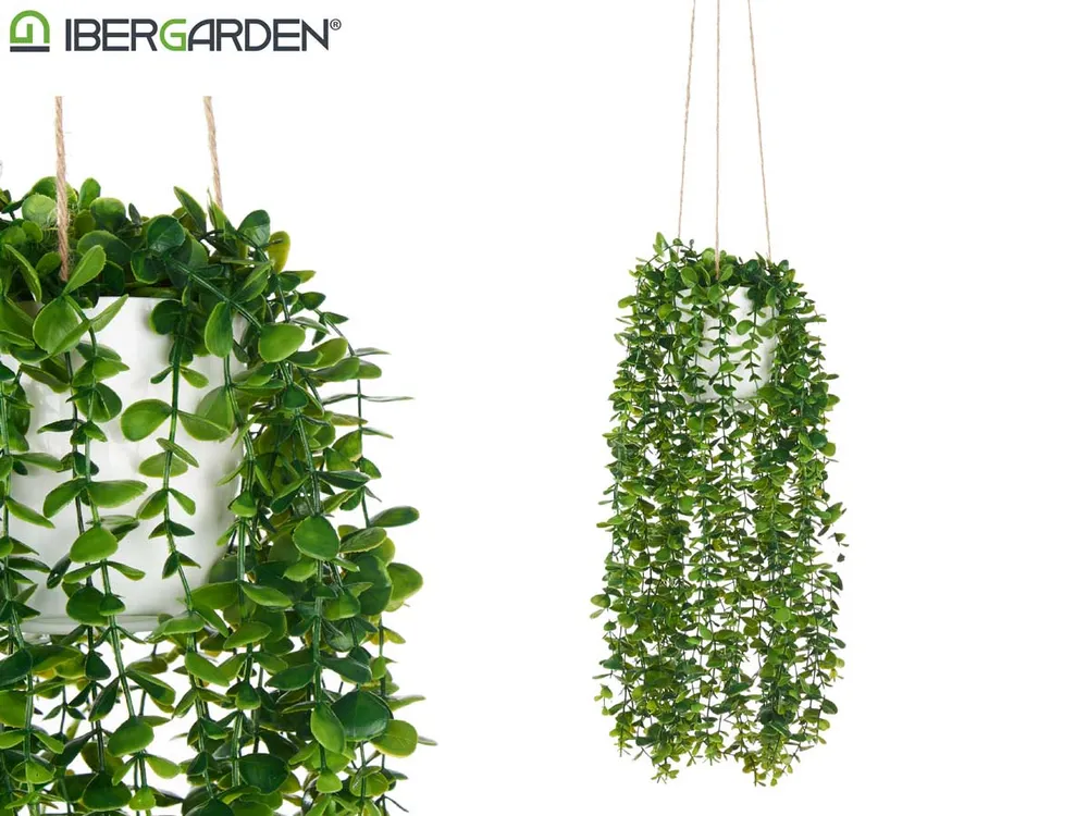 Maceta de Plástico Regadera para colgar Verde con Soga Ibergarden M3-02-A