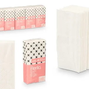 SET 10 PAQUETES 10 PAÑUELOS 3 CAPAS ARTEREGAL