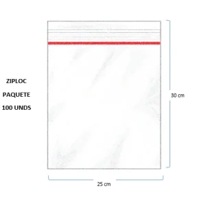 Bolsa Ziploc 25x30 x100und Generico