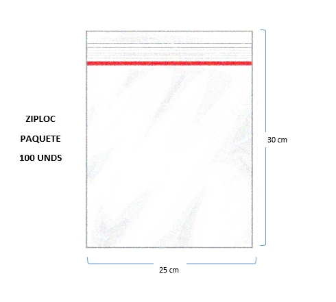 Bolsa Ziploc 25x30 x100und Generico