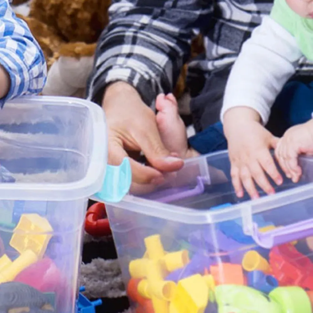 Caja Plástica Organizadora de 10 Litros con Tapa Luxury Plast