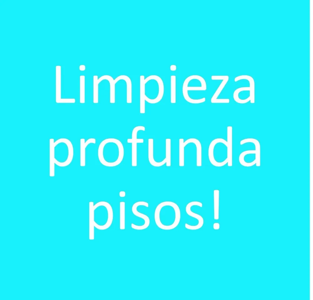 P&L Limpiador Pisos de Madera y Laminados Lithofin 1 Lt Protac