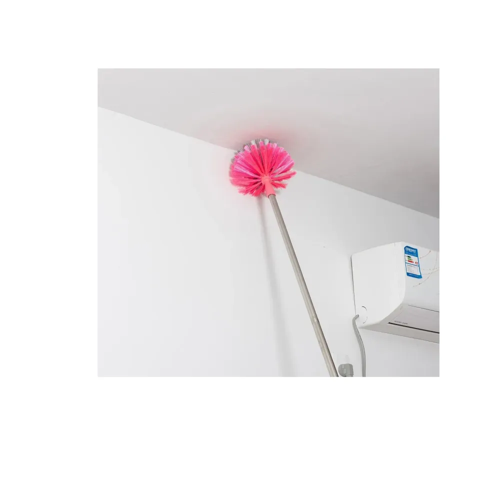 Roof Cleaning Broom