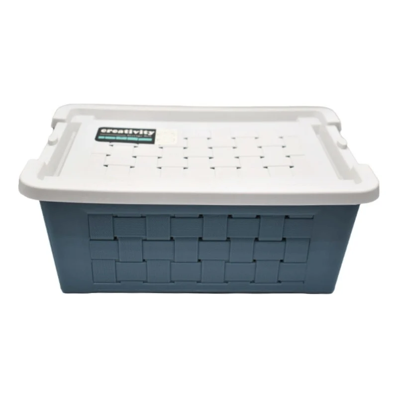 Canasto Caja Plastica Combinada Con Tapa 29x21x11cm Azul Zona Ofertas