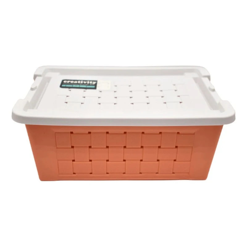 Canasto Caja Plastica Combinada Con Tapa 29x21x11cm Azul Zona Ofertas